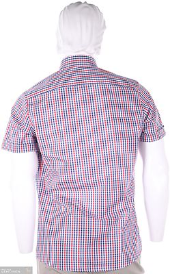 Petrifun modern fit ruudullinen lyhythihainen paita